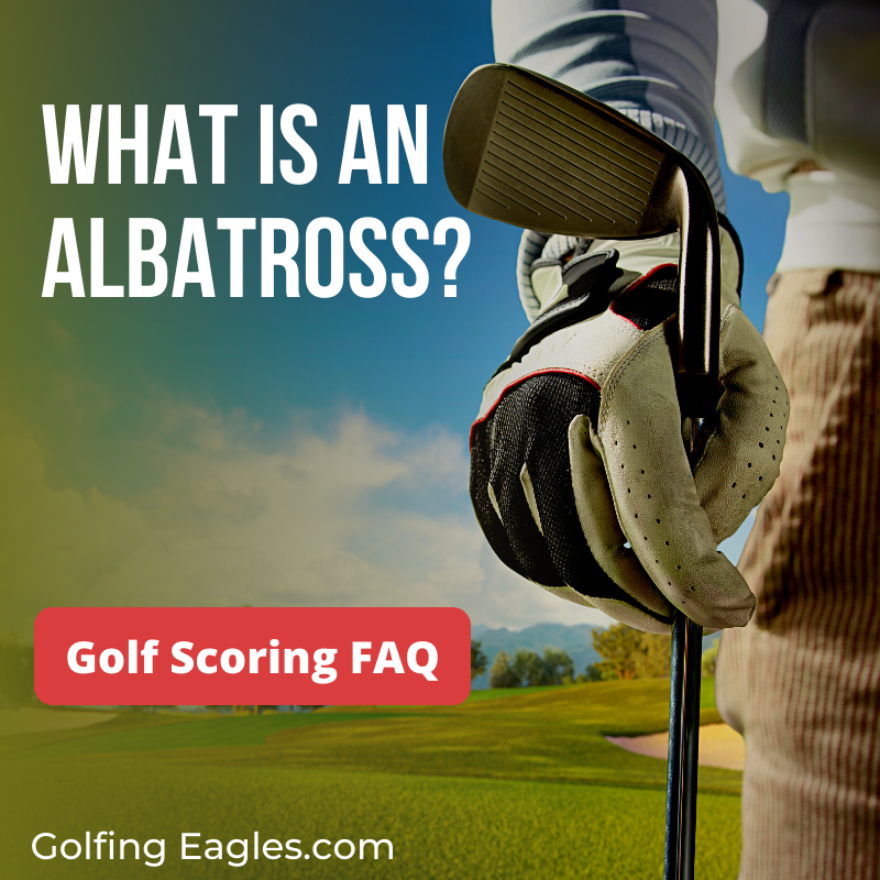What is an Albatross in Golf? ⛳Golf Scoring FAQs