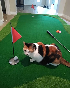 Golf Putting Greens for Home - Indoor Putting Greens - Office Putting Sets