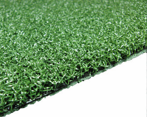 5 x 12 SyntheticTurf Putting Green - Indoor or Outdoor Putting Green